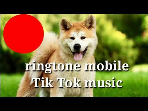 Hany Bany Ringtone Free Download For Mobile